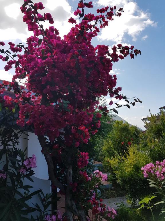 Hotel Stella Marina Capo Vaticano Bagian luar foto